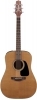 Takamine P1D Takamine P1D